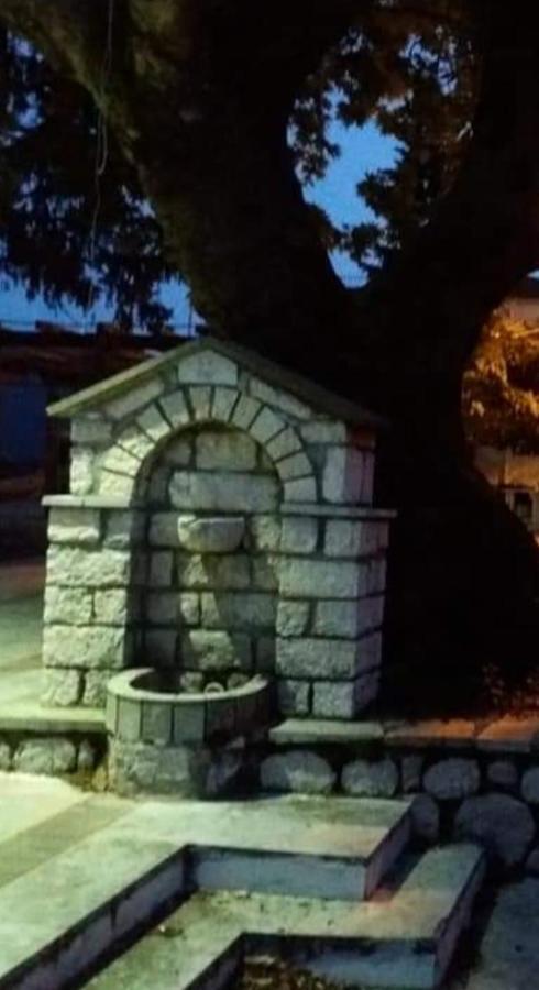 Άγρια Λούλουδα Κατοικία Αρμονία Timfristos Zewnętrze zdjęcie
